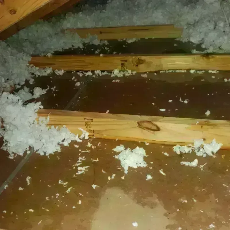 Attic Water Damage in Wayland, MI