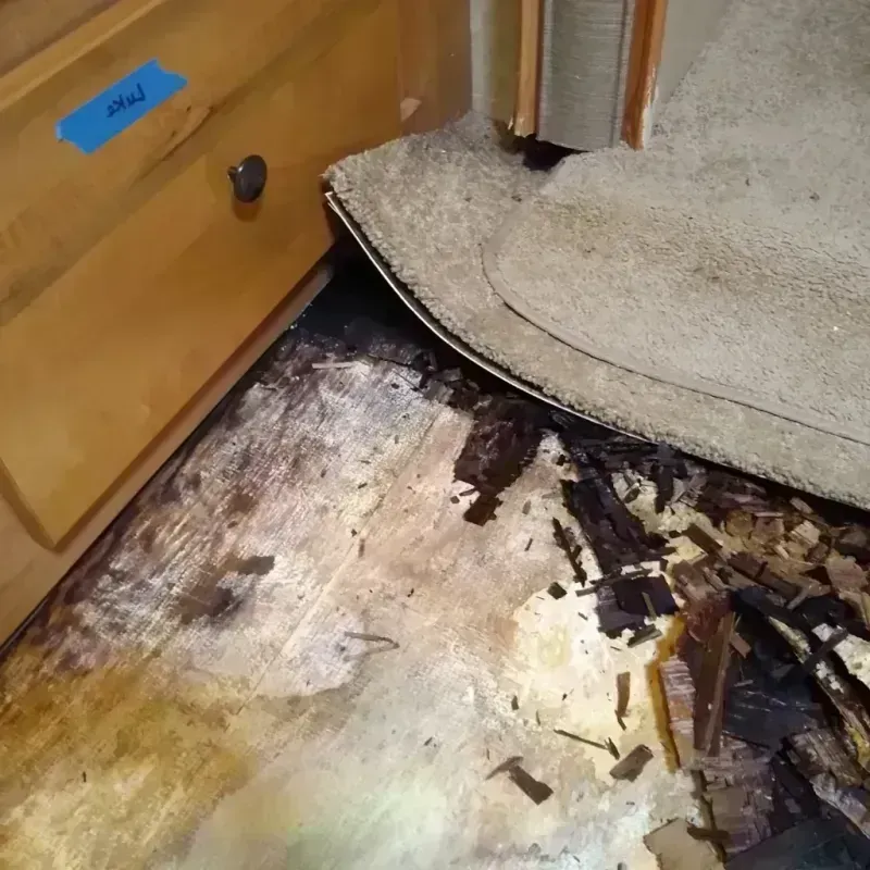 Wood Floor Water Damage in Wayland, MI